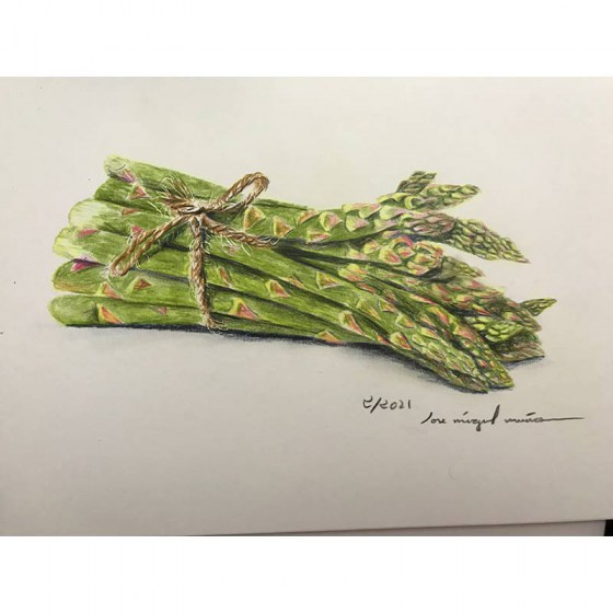DIBUJO-VERDURA-2021-015